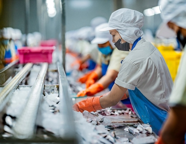 How Food Safety Technology Improves Monitoring Across Global Supply Chains