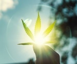 Cannabis and Health: How Cannabinoids Affect the Human Body