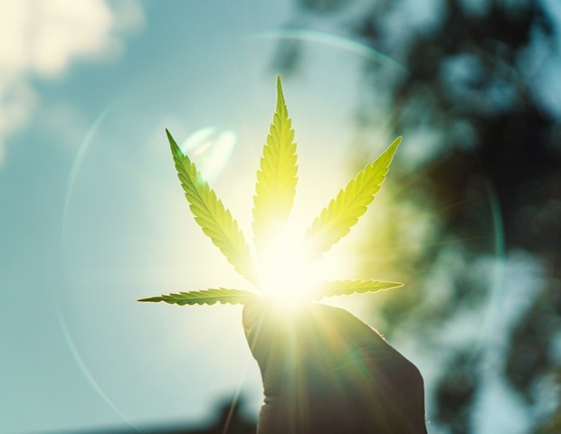 Cannabis and Health: How Cannabinoids Affect the Human Body