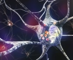 Can GLP-1 Drugs Treat Parkinson’s Disease? What Research Shows