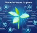 How Plant Biosensors, IoT, and AI Are Advancing Precision Agriculture