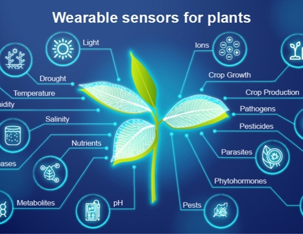 How Plant Biosensors, IoT, and AI Are Advancing Precision Agriculture