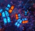 Antibody Engineering: How Modern Antibody Technologies Are Transforming Healthcare