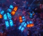 Antibody Engineering: How Modern Antibody Technologies Are Transforming Healthcare