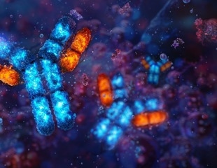Antibody Engineering: How Modern Antibody Technologies Are Transforming Healthcare