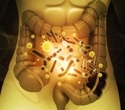 Gut Microbiome and Aging: How Gut Bacteria Influence Health and Longevity