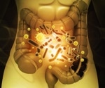 Gut Microbiome and Aging: How Gut Bacteria Influence Health and Longevity