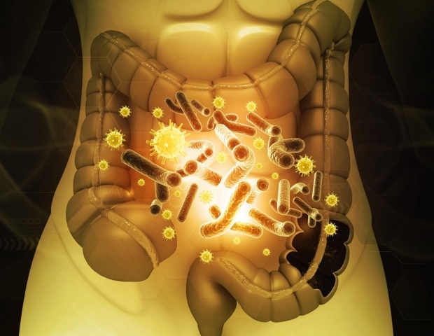 Gut Microbiome and Aging: How Gut Bacteria Influence Health and Longevity