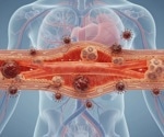 What Is Inflammaging? Causes, Health Effects, and Ways to Reduce Inflammation