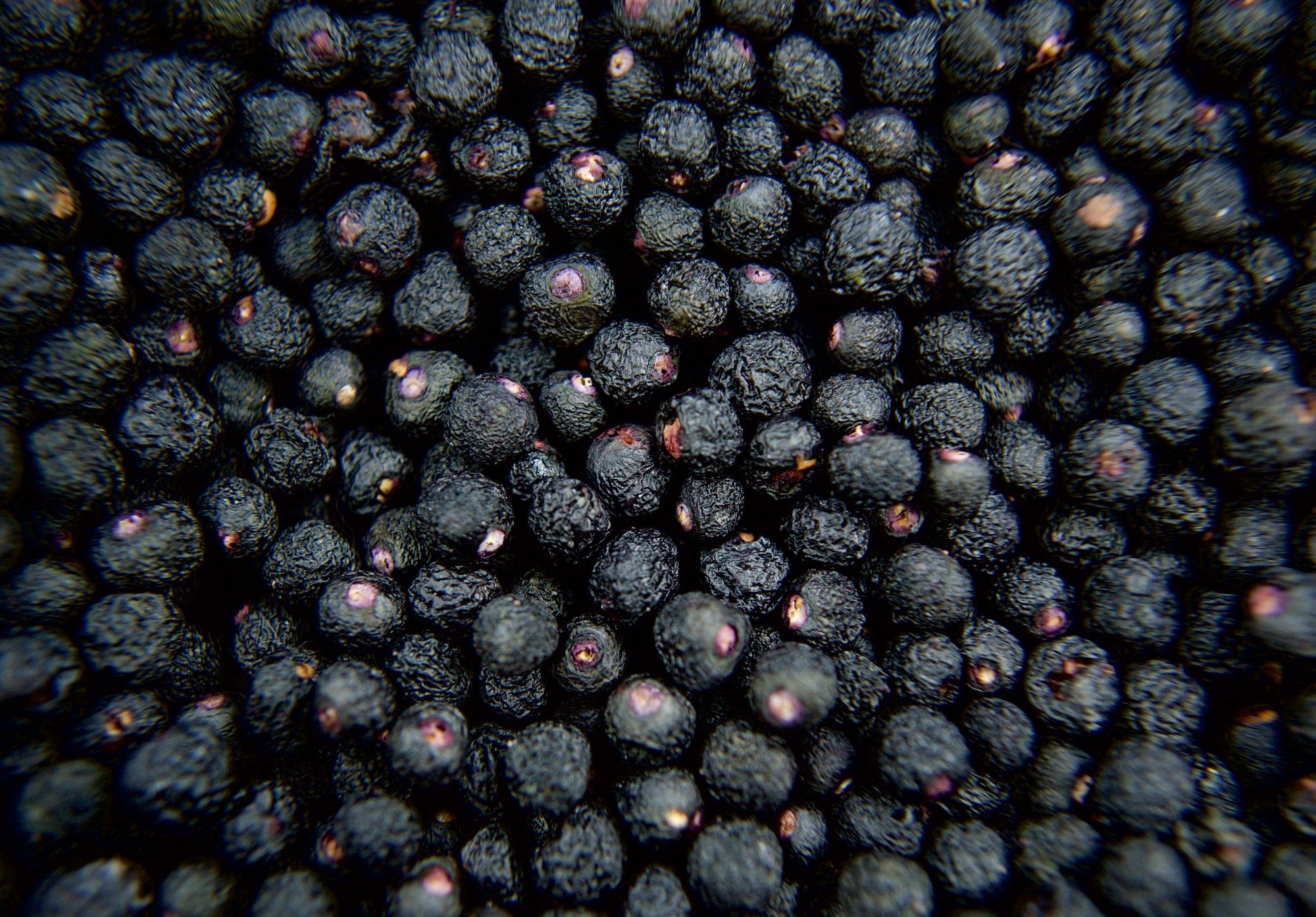 Maqui berries