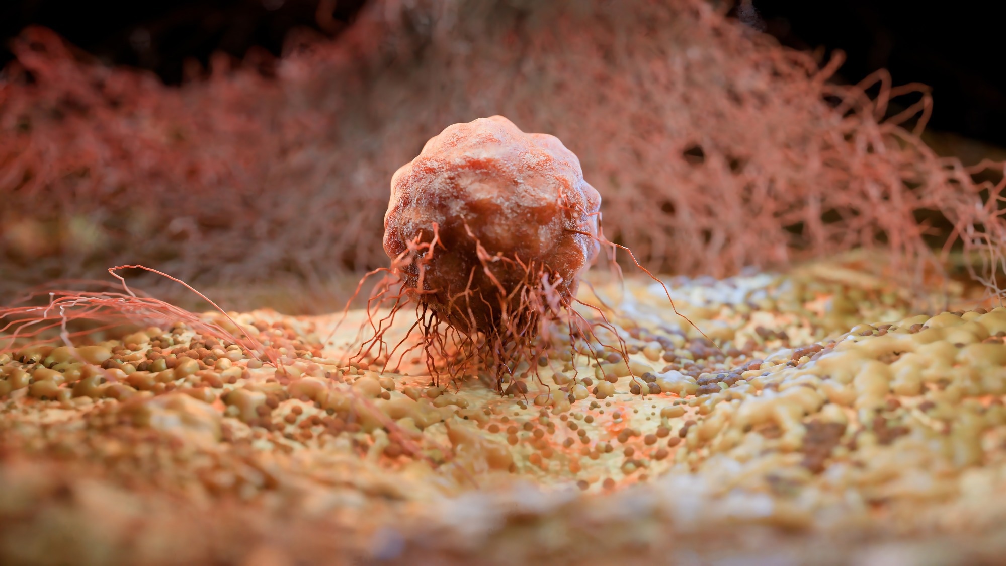 Cancerous cell in fatty environment