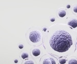 Stem Cell Aging: Why Tissue Repair Slows With Age