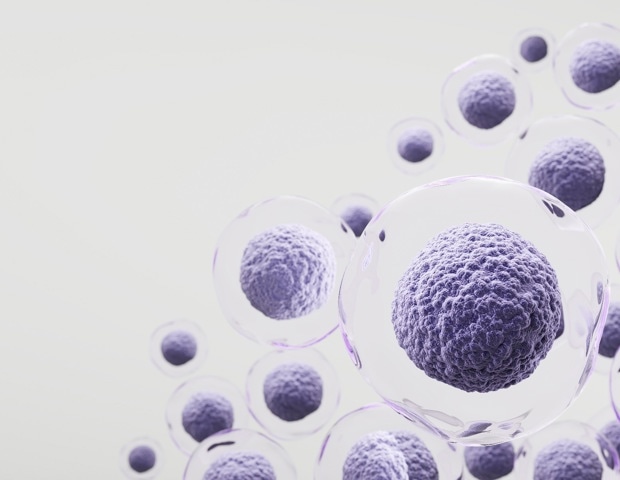 Stem Cell Aging: Why Tissue Repair Slows With Age