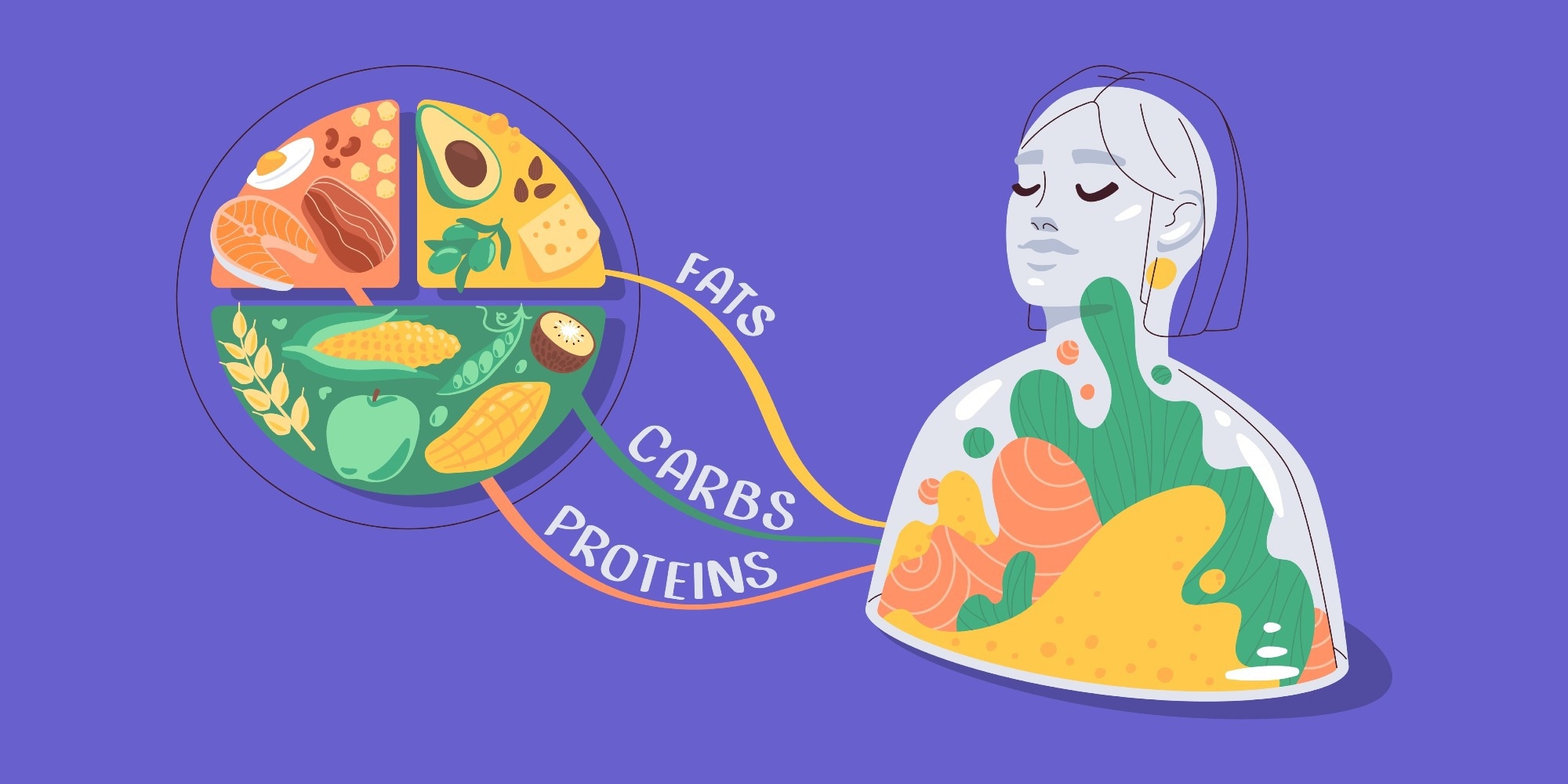 Illustration of body nutrition connection.