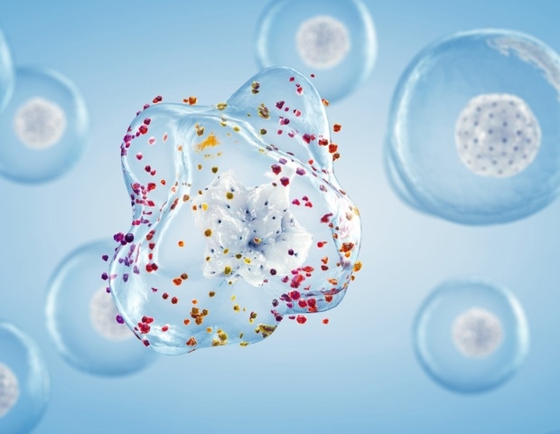 Glycation and Aging: How Sugar Damage Affects Skin, Cells, and Health