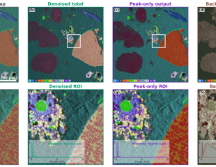 Advancing spectral imaging through neural EDS denoising