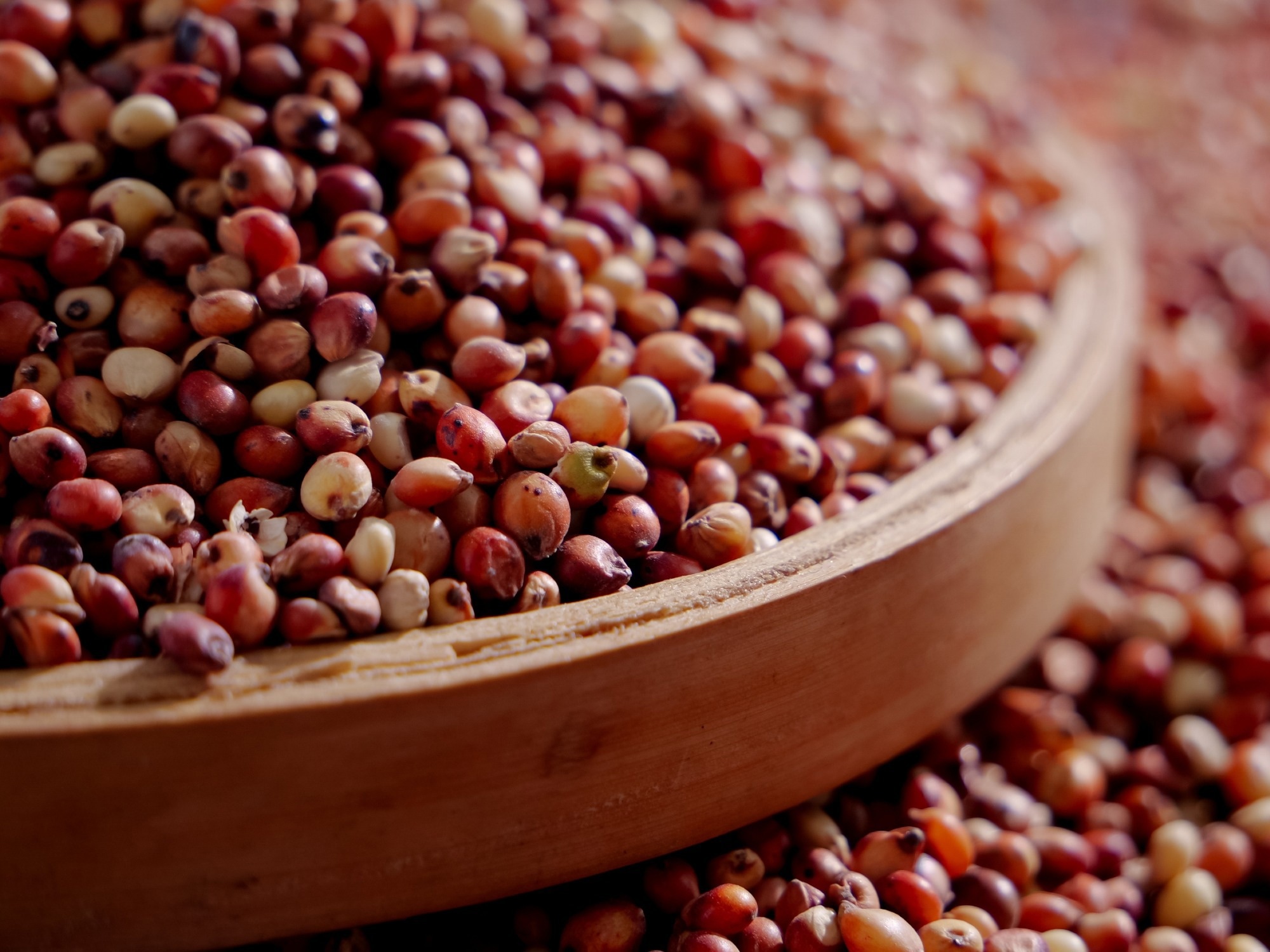 Bowl of millets
