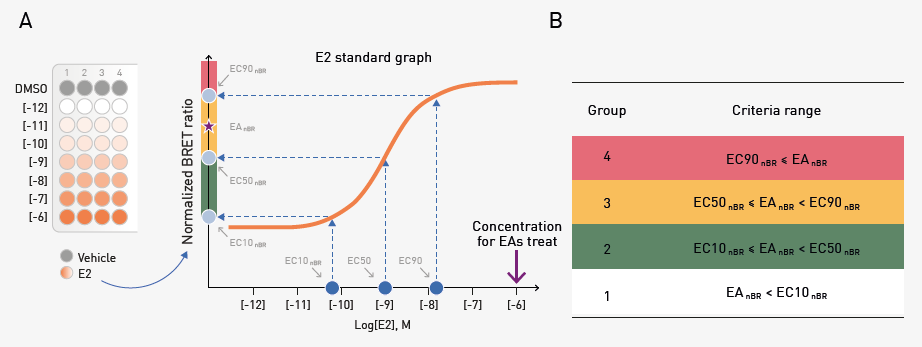 Classification of dimerization using E2 standards. Dose-response curves (A) and BRET ratios (B) were established using E2 to classify the ERDDB biosensors