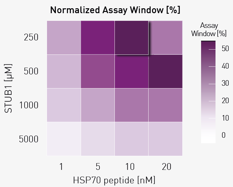 Protein–peptide optimization heatmap. Normalized assay window (%) across a cross-titration of labelled HSP70 peptide (1–20 nM) and mClover3–STUB1 (250–5000 nM), calculated from high-FRET (no competitor) and low-FRET (10 μM competitor) conditions