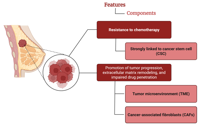 Advancing triple-negative breast cancer drug discovery with AI and organoids