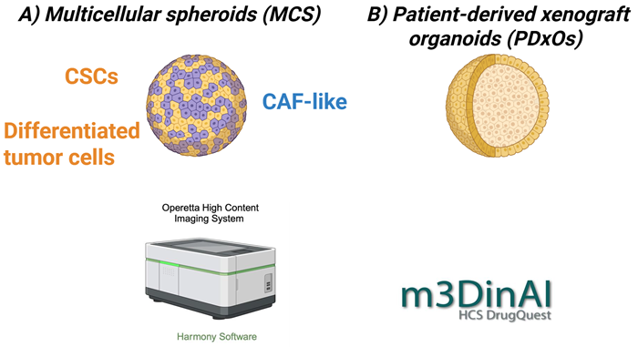Advancing triple-negative breast cancer drug discovery with AI and organoids