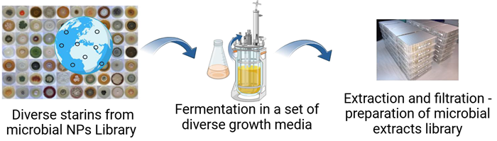Advancing triple-negative breast cancer drug discovery with AI and organoids