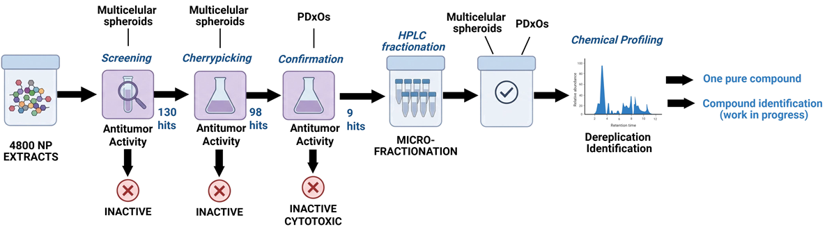 Advancing triple-negative breast cancer drug discovery with AI and organoids
