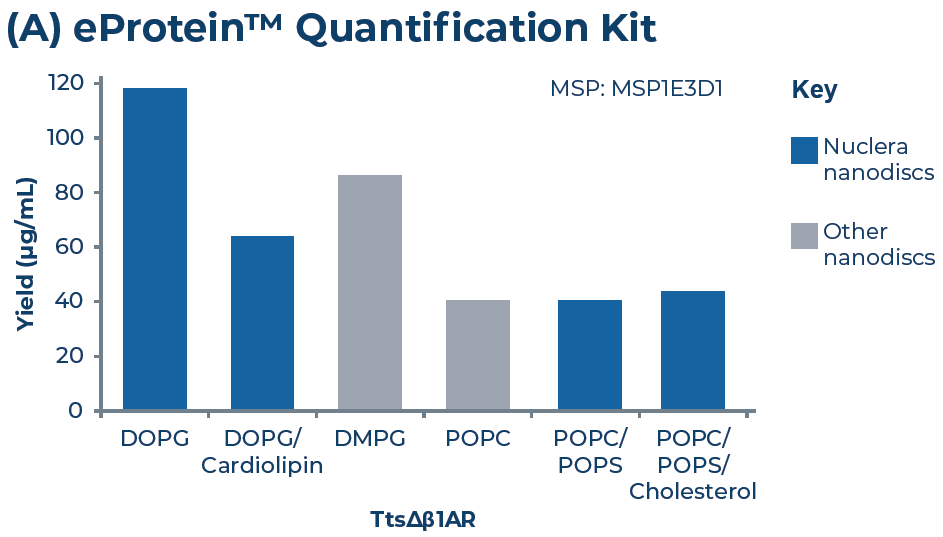 TtsΔβ1AR scale-up results. TtsΔβ1AR was scaled-up in 6 nanodisc conditions. (A) Yield was quantified using the eProtein Quantification kit. (B) Example SDS-PAGE of ttsΔβ1AR scaled-up using three nanodisc scale-up. PDI/GSSG was also added to all cell-free mixes.