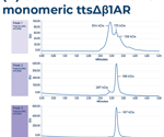 Producing active β1AR receptors in under 72 hours