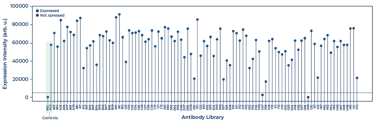 Expression classification of computationally designed anti-PD-1 variants. The dashed line represents the threshold for confirmed expression