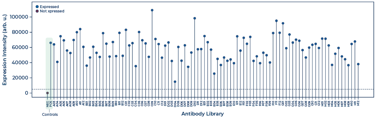 Expression classification of computationally designed anti-IL-6 variants. The dashed line represents the threshold for confirmed expression