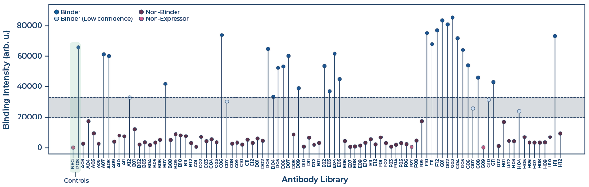 Binary binding triage of the anti-PD-1 library. The shaded zone represents low-confidence binders. Data points above the shaded zone represent binders, and data points below represent non-binders