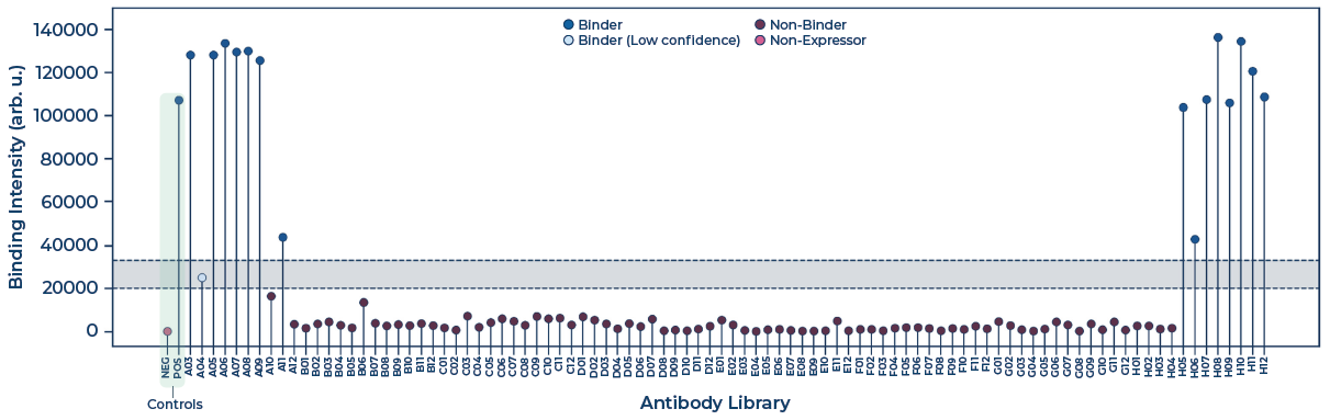 Binary binding triage of the anti-IL-6 library. The shaded zone represents low-confidence binders. Data points above the shaded zone represent binders, and data points below represent non-binders