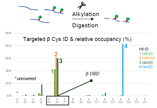 Binding site mapping and occupancy