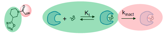 kinact and KI study