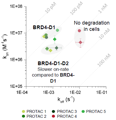 Integrated approaches to covalent and non-covalent hit discovery