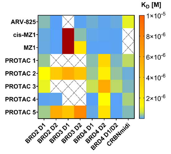 Binary interactions: SPR characterization using Triceratops SPR #64