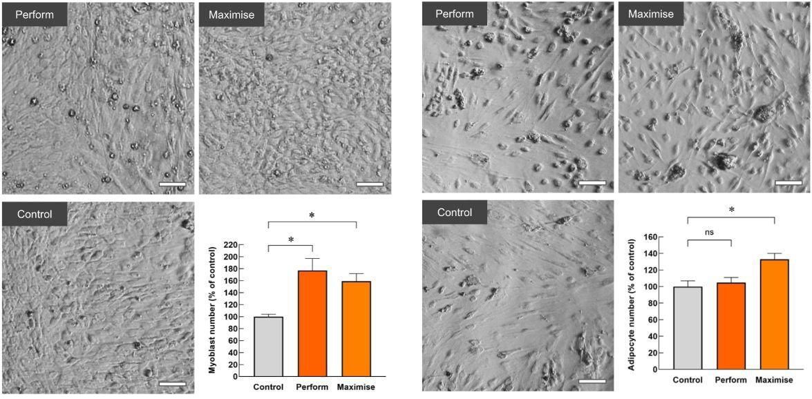 Application 1: Cell proliferation in serum-free media