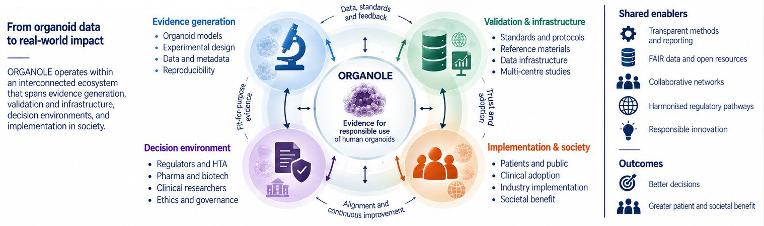 The ORGANOLE evidence ecosystem