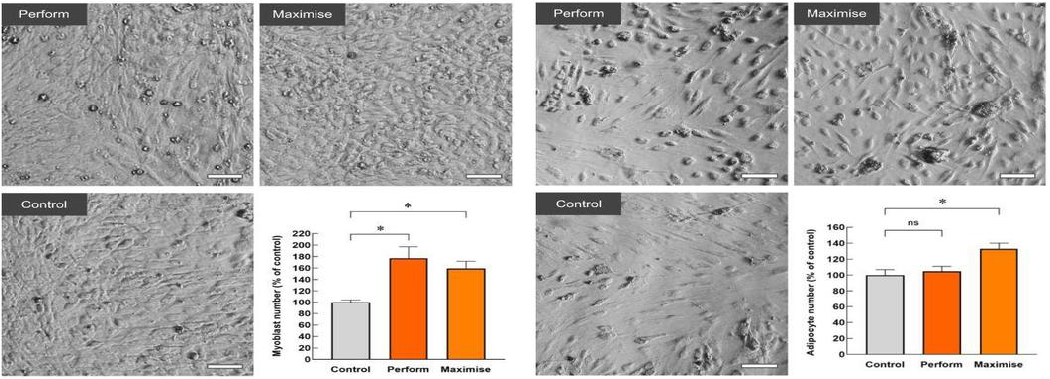Application 2: Cell proliferation in serum-free media
