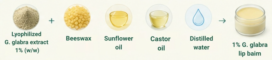 Formulation and characterization