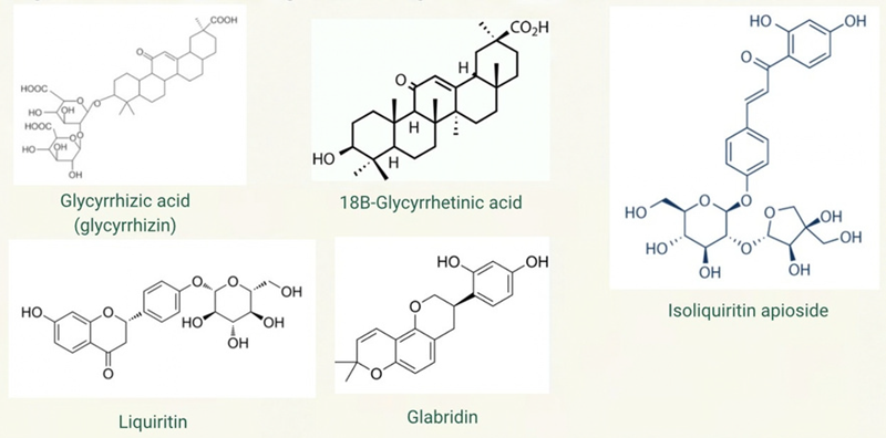 Phytochemical profile. Major metabolites tentatively identified by LC-ESI-QTOF-MS Key mass signals: m/z 823.29 and m/z 839.29-840.29 (RT 21.29-22.77 min), corresponding to glycyrrhizic acid and its ammonium/sodium adducts.