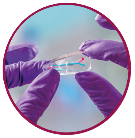 Emulate won the Lush Prize 2024 for Science for their validation of a human liver chip for preclinical toxicology