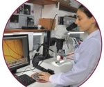 The role of new approach methodologies in life sciences research