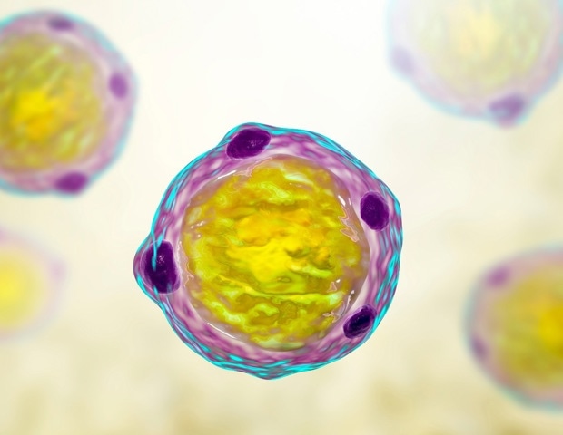 Blastocystis: friend or foe?