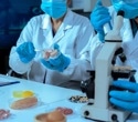Food Safety Risk Assessment: How Scientists Evaluate Chemical and Microbial Hazards