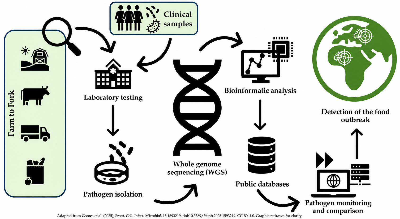 General workflow for foodborne outbreak detection