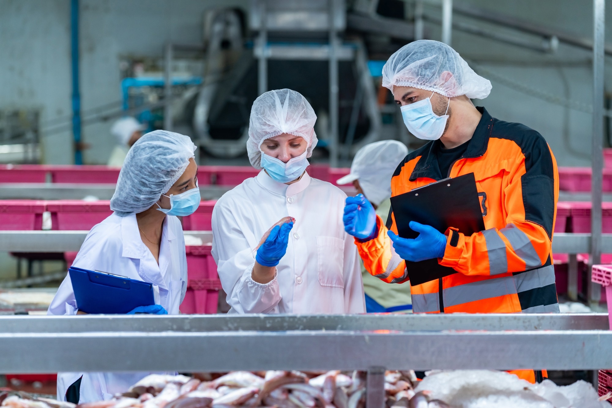 Canned processed food business