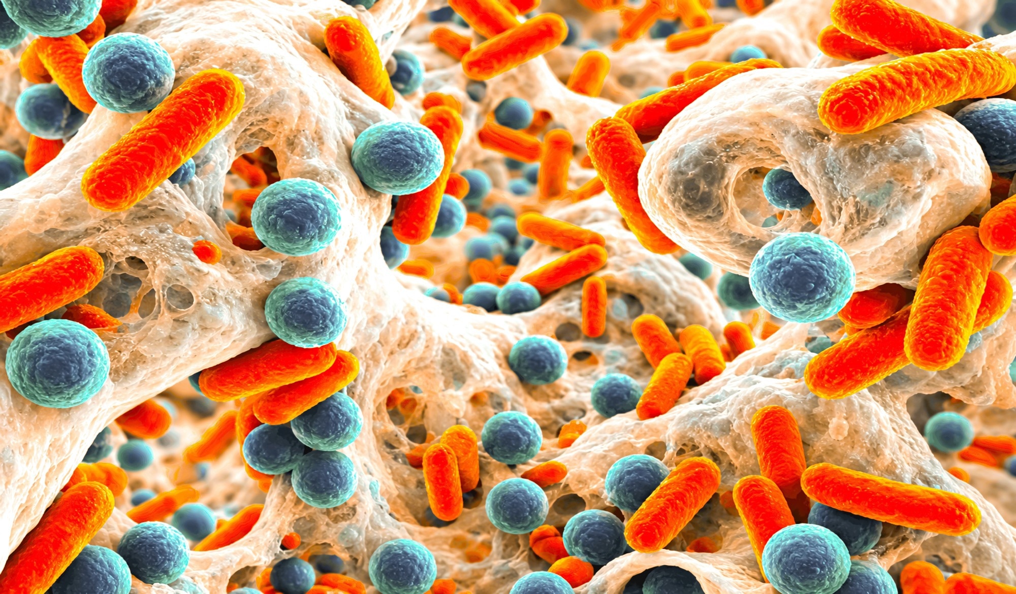 Biofilm antibiotic resistant bacteria closeup view. Rod-shaped, spherical bacteria. Escherichia coli, Pseudomonas, aeruginosa, Mycobacterium tuberculosis, Klebsiella, Staphylococcus aureus, MRSA. 3D illustration