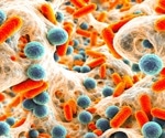 How Cold Atmospheric Plasma Weakens Biofilm Defenses